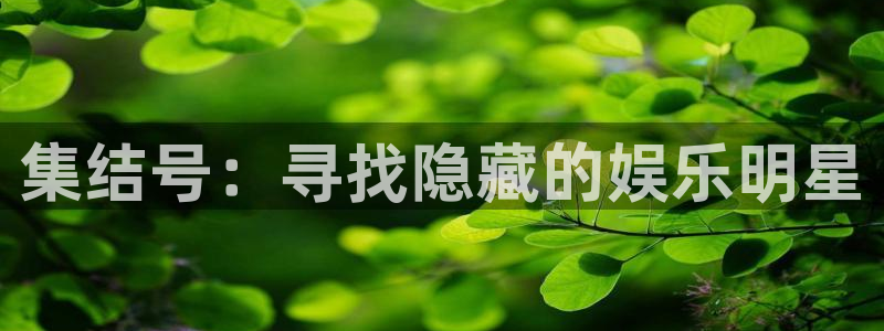 富邦娱乐：集结号：寻找隐藏的娱乐明星