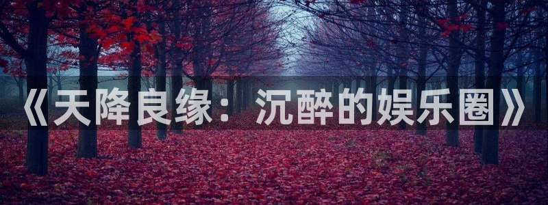 富邦娱乐：《天降良缘：沉醉的娱乐圈》