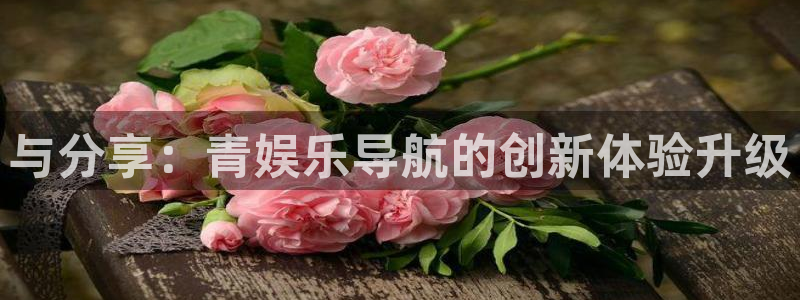 富邦娱乐：与分享：青娱乐导航的创新体验升级