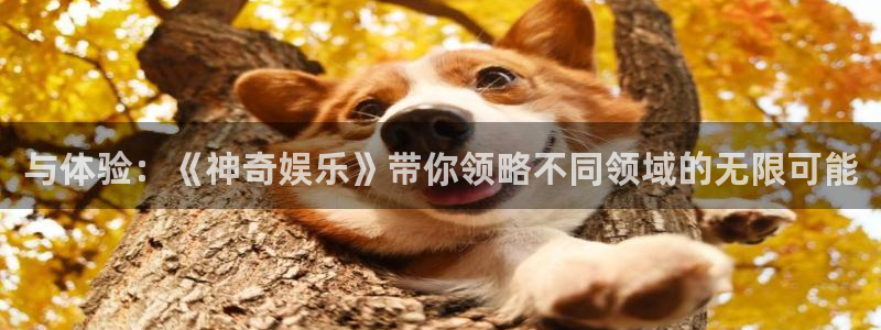 富邦娱乐：与体验：《神奇娱乐》带你领略不同领域的无限可能