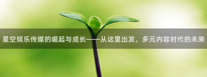 富邦娱乐：星空娱乐传媒的崛起与成长——从这里出发，多元内容时代的未来