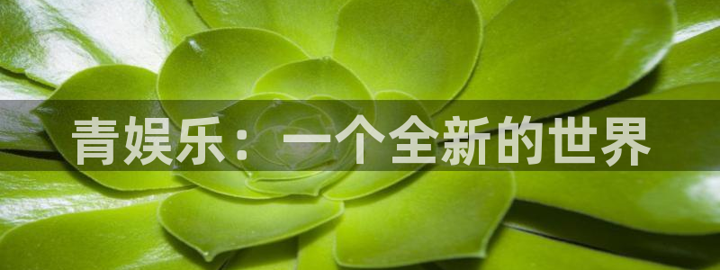 富邦娱乐：青娱乐：一个全新的世界