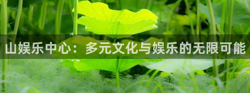 富邦娱乐：山娱乐中心：多元文化与娱乐的无限可能