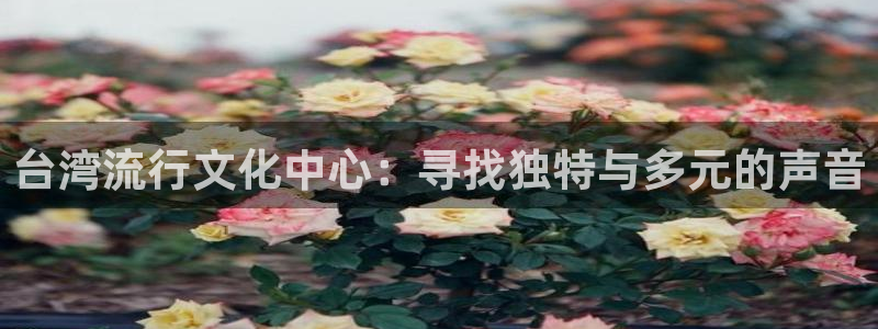 富邦娱乐：台湾流行文化中心：寻找独特与多元的声音